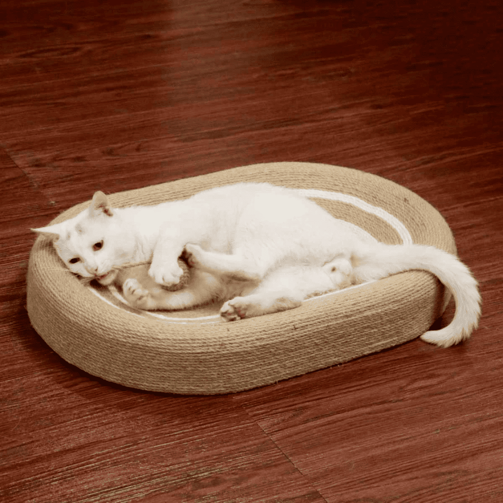 HolyPet™ ScratchBed 2-in-1