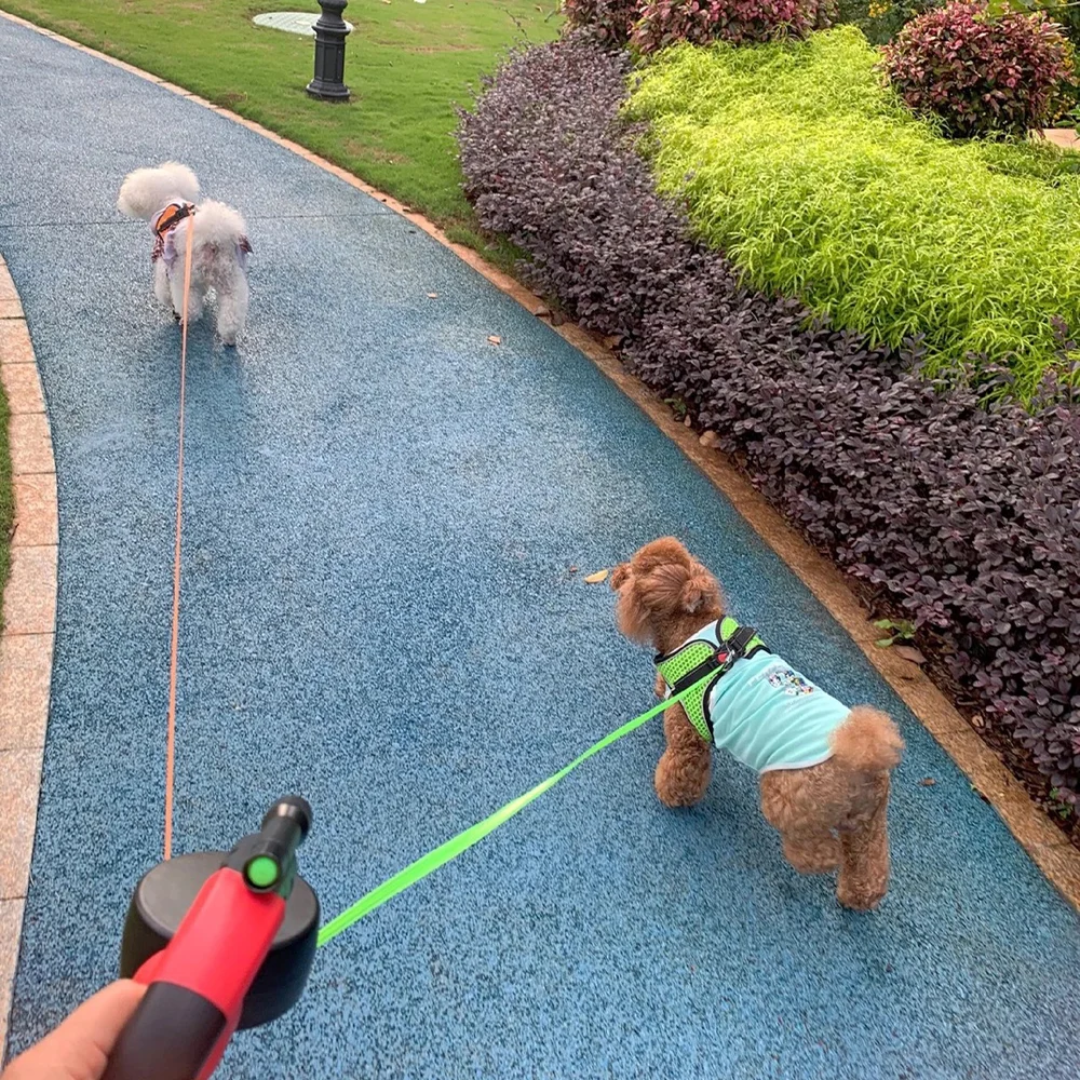 HolyPet™ Dual LED Leash 360°