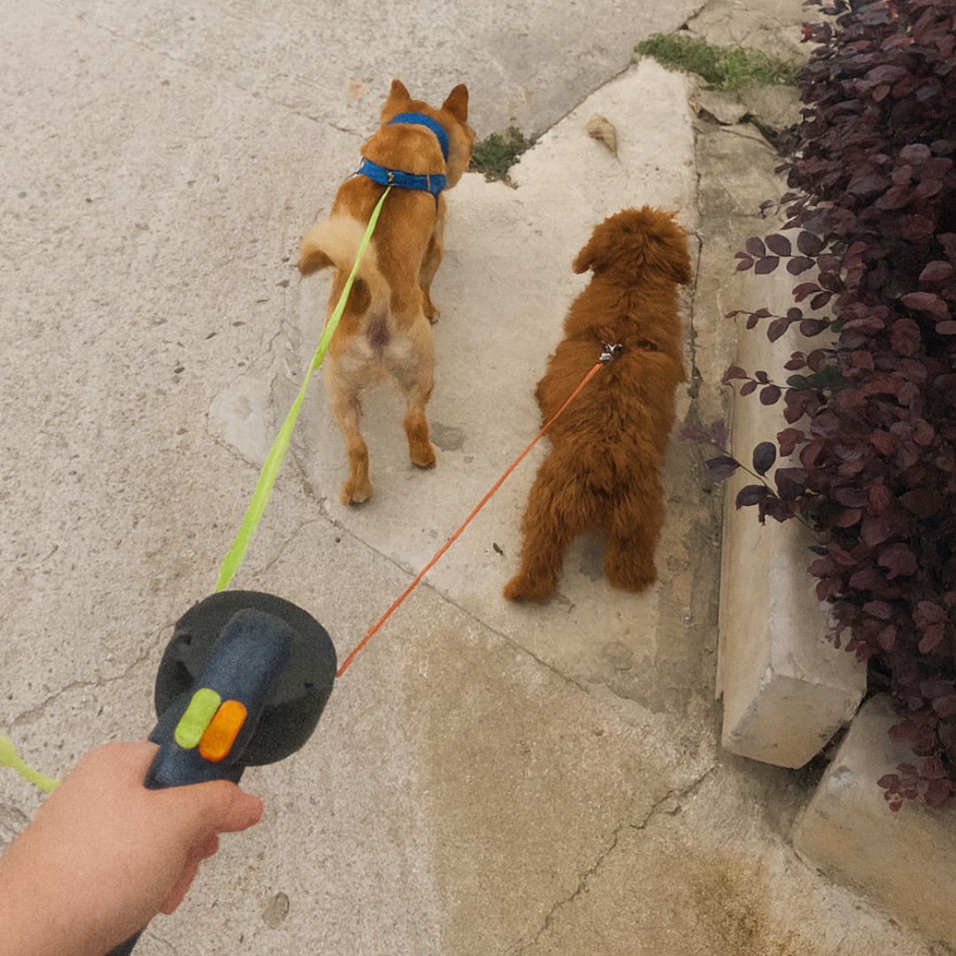 HolyPet™ Dual LED Leash 360°