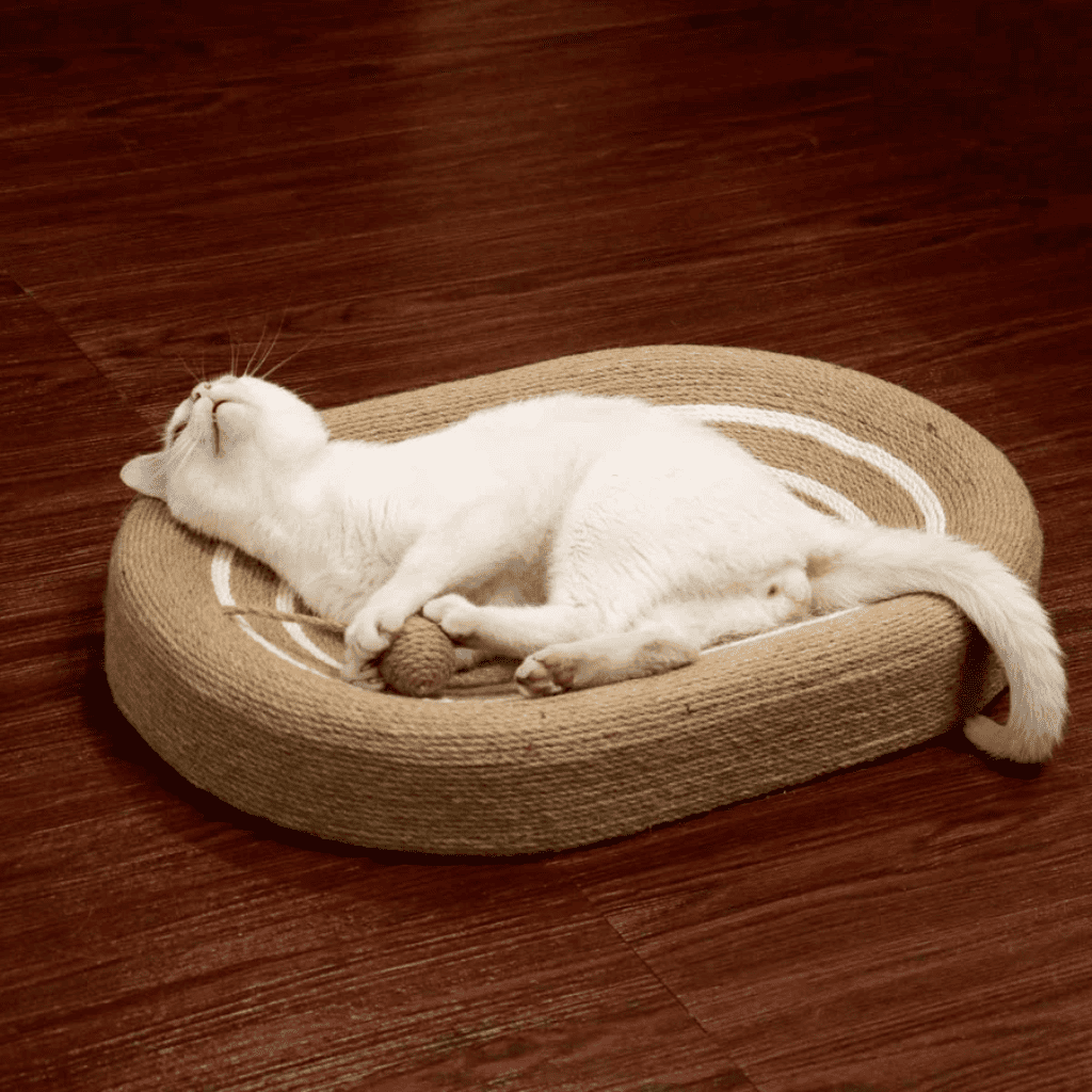 HolyPet™ ScratchBed 2-in-1